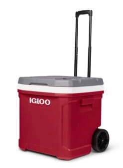 IGLOO Latitude 57L Wheeled Cool Box 16 IGLOO Latitude 57L Wheeled Cool Box -Outdoor Camping Store k15850b767a47e99f2f34fba44f09c39f