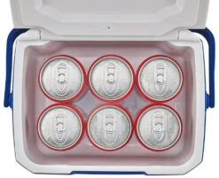 Coleman Performance 5QT Personal Cooler -Outdoor Camping Store k38d265bbd2c606ec2ceeb6e7ba28662f