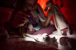 Ledlenser KidBEAM4 LED Hand Torch (Purple) 15 Ledlenser KidBEAM4 LED Hand Torch (Purple) -Outdoor Camping Store k59e29570618b7729d370bdca435a3048