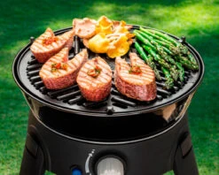 Cadac BBQ Grid 30 -Outdoor Camping Store k99ed97a2ecfce9685eca27d9856eb126